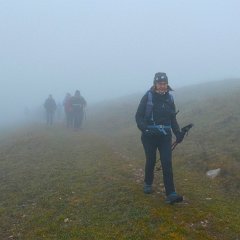 P1160897   Guida Cristina Montanari, con Croce Tornieri Marilla, Fusato Mariangela, Tessaro Raffaella, Voltan Carlo.